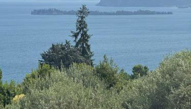 Villa Diamante del Garda & Spa - Foto 2