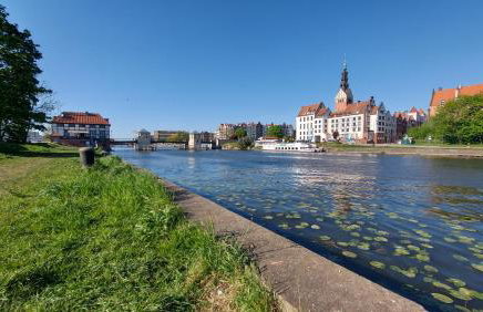 STARE MIASTO KWIATY - Foto 19