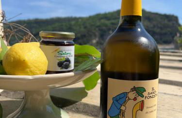 Villa Paolo Lemon Tree - Foto 59