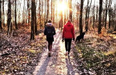 Chalets Moulière Evasion - Foto 41