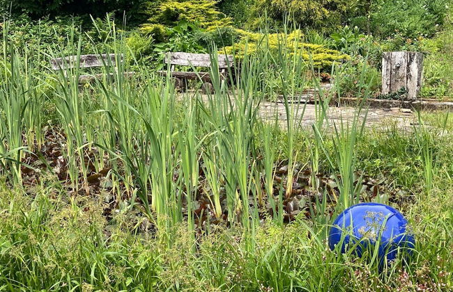 Sellerich Forest Hideaway - Foto 18