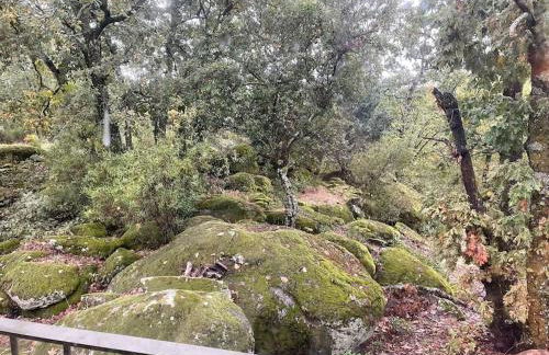 Casa Rural Finca De Musgo - Foto 38