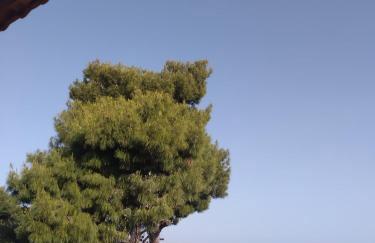 Machi Rooms - Foto 48