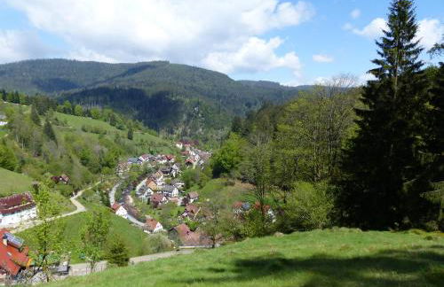 Ferienwohnungen in Schönmünzach - Photo 19