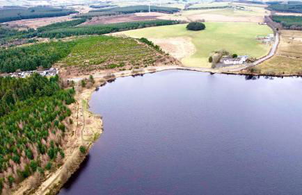 Bumble’s Barn - Foto 14