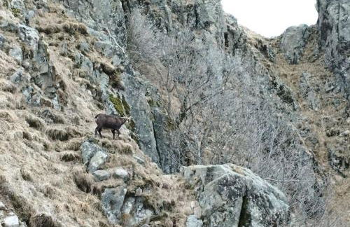 Aux balcons de la vallée - Foto 34