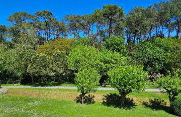 Olatua La vague votre havre Basque à la mer - Foto 24