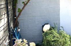 Ostraco Siviri - Foto 20