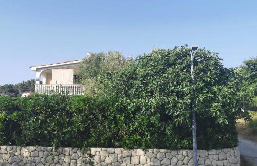 Pag Vlasici - Foto 28