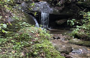 Karma Cabin - Foto 22