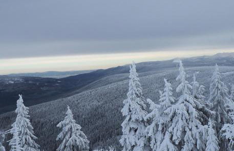 The Old Barn Luksusowa Stodoła z Całorocznym Jacuzzi Kominkiem i Widokiem na Wzgórza i Las dla 8-10 osób na Dolnym Śląsku min 2 noce - Foto 72