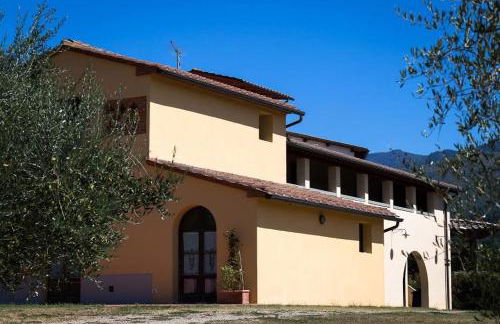 azienda agricola lo zolfino - Photo 6