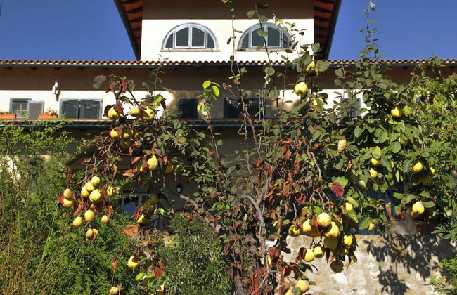 Agriturismo Anna De Croy - Foto 35