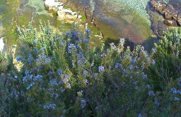 Apartments Misini Dvori - Foto 29