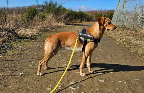 Apartment Sander by Interhome - Foto 15