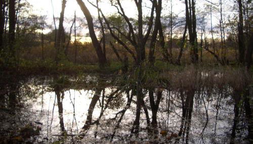 Meyers Veranda - Foto 3, Other