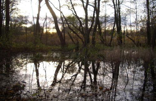 Meyers Veranda - Foto 3