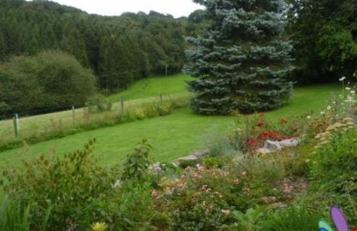 Land des Friedens in Nettersheim / Eifel - Photo 21