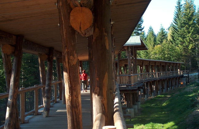 Wildnisresidenz am Nationalpark - Photo 44