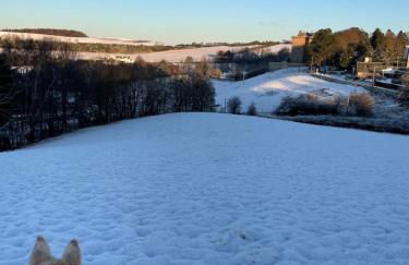 Borthwick Farm Cottage Pottery - Foto 21