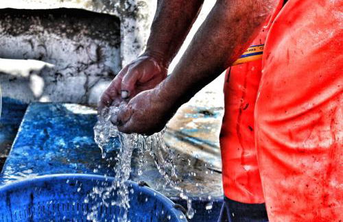 Ittiturismo Il Vecchio e il Mare - Foto 17