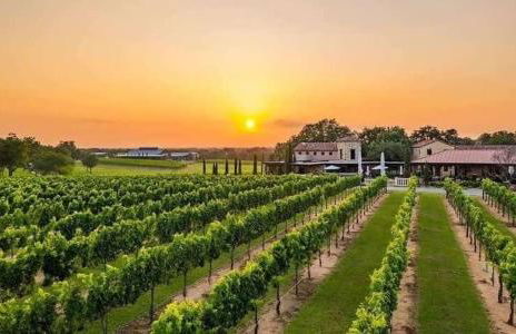 Entertainers Paradise 16m to wine trail 2 kings - Foto 15