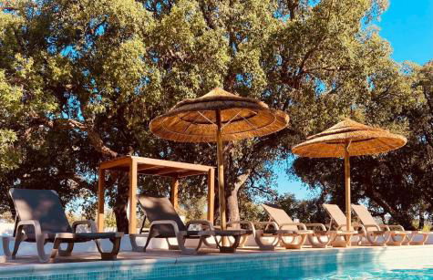 Proud Progress Homes - Casa Portus - Foto 1