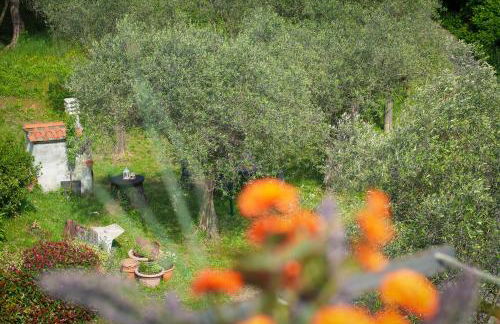 Il Nido di Erin - Photo 43