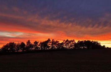 Apartmenthaus Haus am Grün 2 - Foto 30
