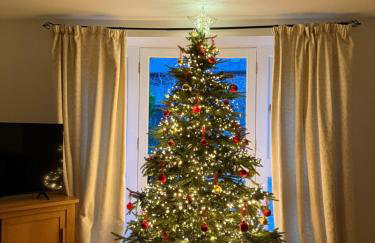 House Martin - Foto 9