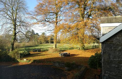 Swansea Valley Holiday Cottages - Foto 67