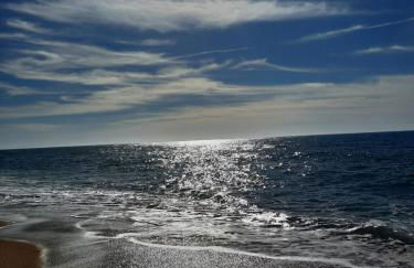 Sunflower Sea View with magnificent terrace in Serra da Pescaria, Nazaré - Portugal - Foto 49