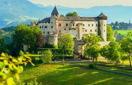 Vidora Apartments - Dolomites Escape in Alpe di Siusi (Seiser Alm) - Foto 15