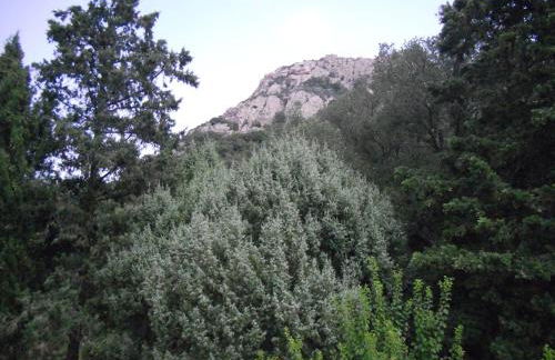 Agriturismo La Casa delle Fate - Photo 66