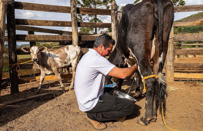 Fazenda Realeza - Foto 73
