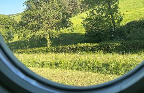 Cosy Devon Hut Woodland Views - Photo 35