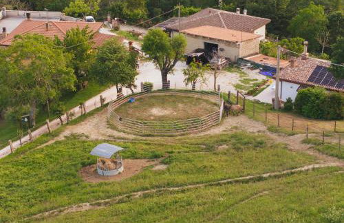 Casa Ambrogi Stefano - Photo 17