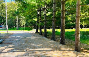 Winifreds Hideaway - Photo 6