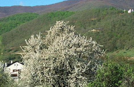 Villa Kastanodasos - Foto 25