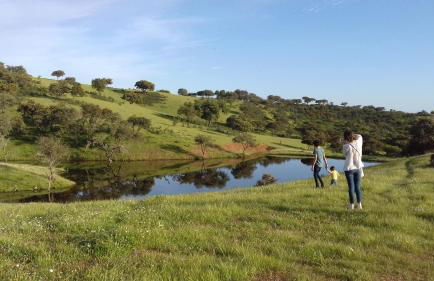 Agroturismo Xistos - Foto 14