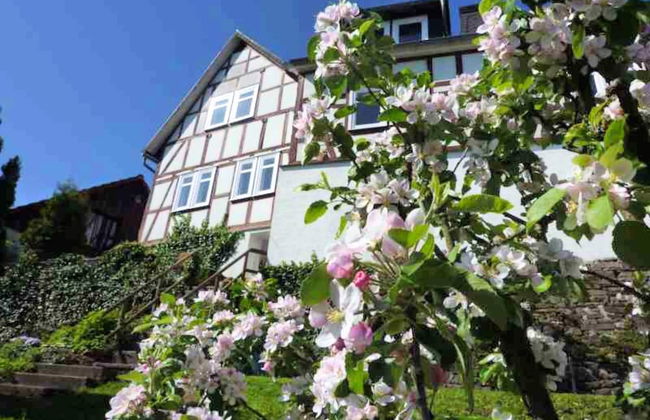 Wohnung in der Nahe des Skigebietes Battenberg - Foto 30