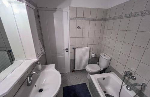 Διαμέρισμα «Εξοχή» στο Καλπάκι - Foto 12