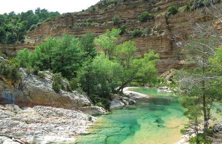 Casa Borlas - Foto 35