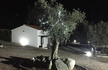 Holiday home Monte das Azinheiras - Foto 49