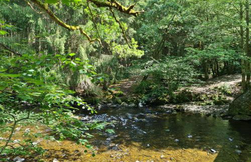 Ferienhaus Dröfter Blick - Foto 50