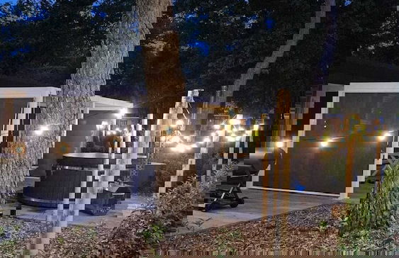 Casa Sallandia met Outdoor Wellness - Foto 38