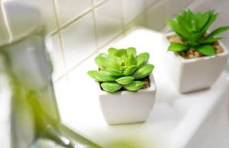 Casa da Tia Douro - Foto 37