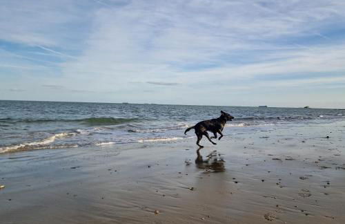 Little holiday cottage in Seaview, minutes walk to beach - Photo 17
