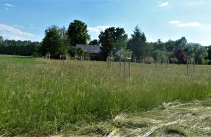 Ferienwohnung im Spreewald in idyllischer Alleinlage - Foto 24