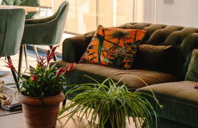 One&Only Melissa - Foto 32